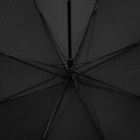 Зонт-трость Jolly Brolly, черный