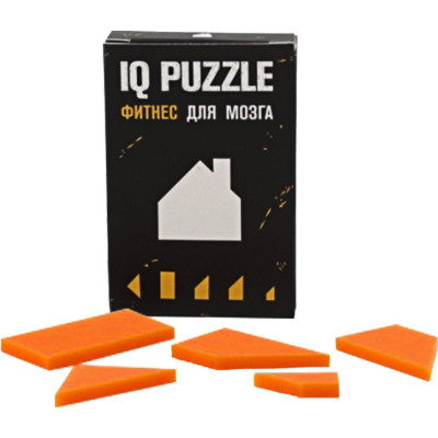 Головоломка IQ Puzzle